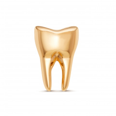 Брошь "Зубик"