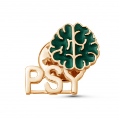 ПИН "PSY"