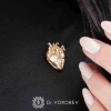 Брошь "Сердце с сосудами" Au 585