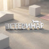 Брошь "Ветеринар №3"
